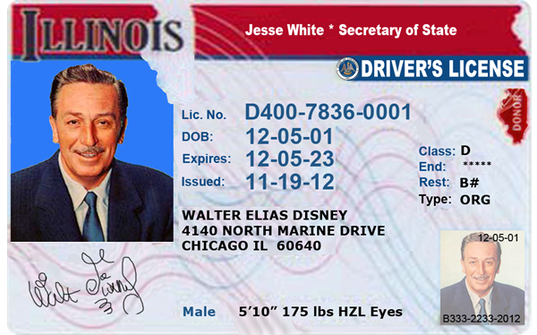Fake illinois drivers license template under 21